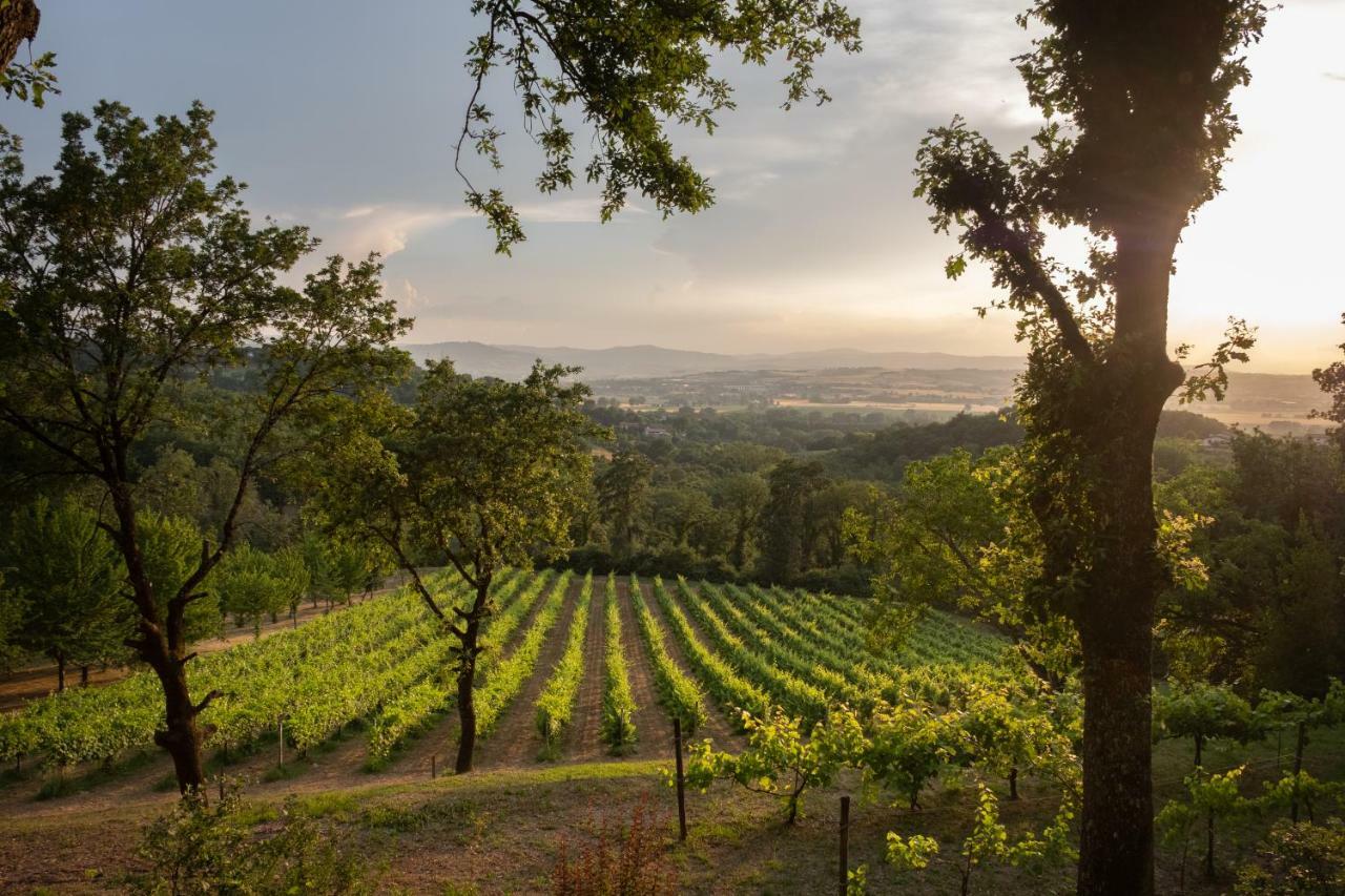 Agriturismo Le Cerque Collazzone Buitenkant foto
