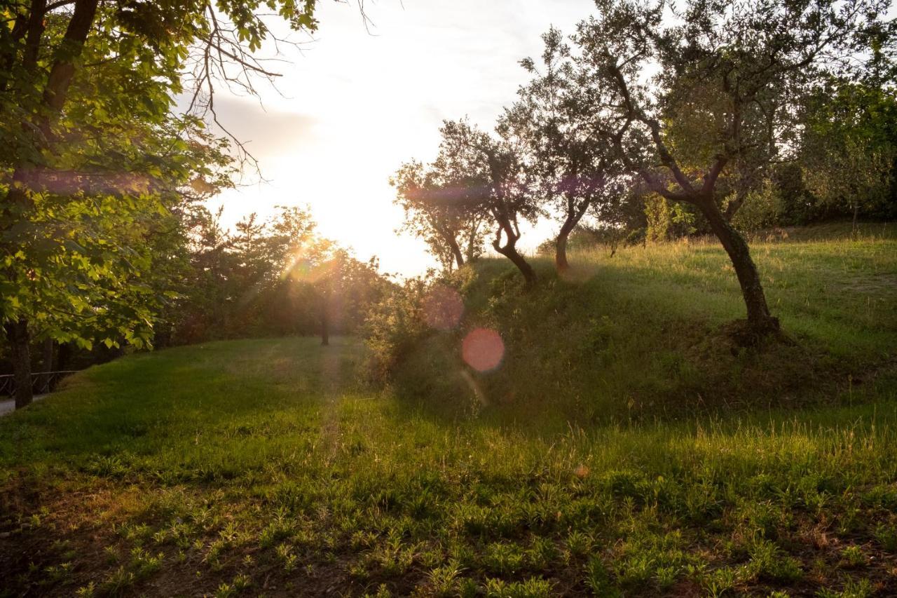 Agriturismo Le Cerque Collazzone Buitenkant foto
